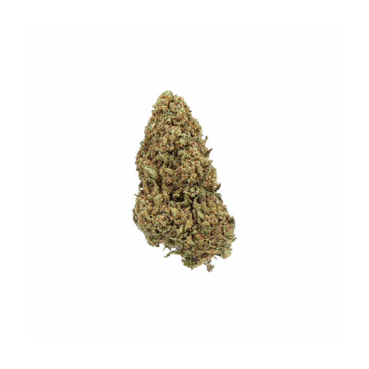 Orange Bud CBD 12% Greenhouse – Fleur CBD Premium Fruitée & Puissante