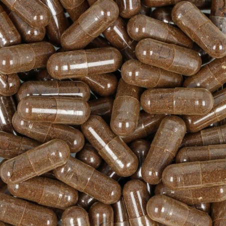 🍄GÉLULES CHAMPIGNONS ADAPTOGÈNES MINCEUR