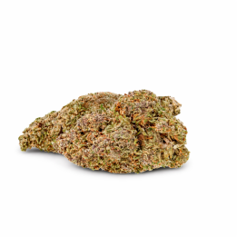 Legendary Hydro CBD – Fleur Premium Indoor Haute Qualité & Puissante