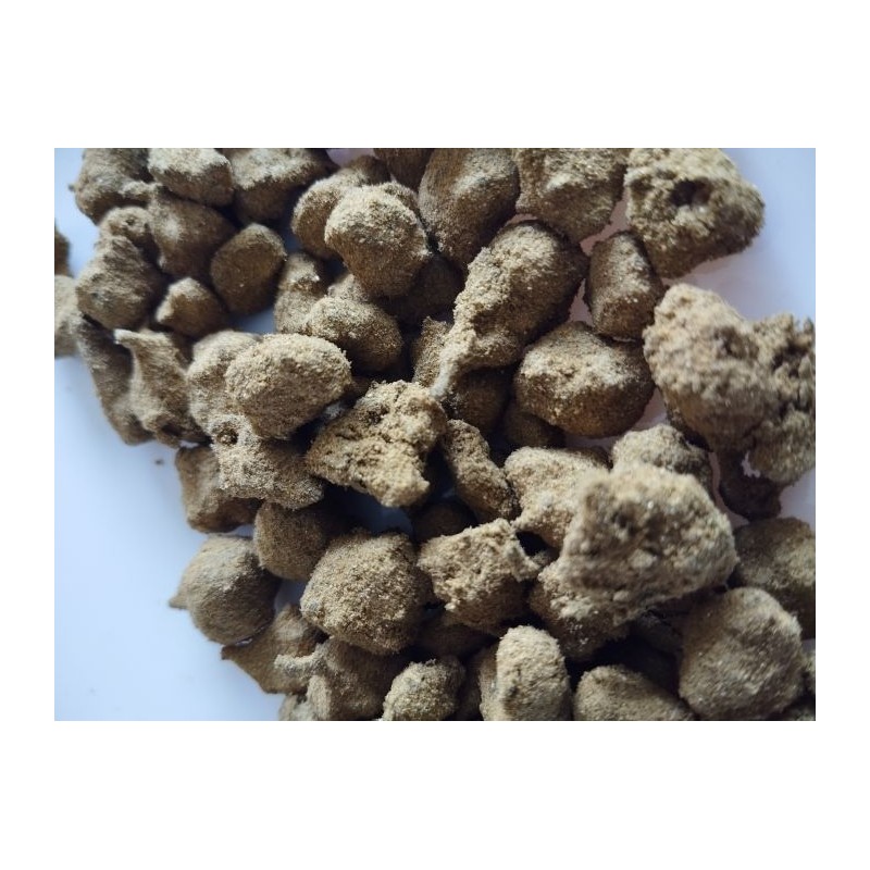 💣🌿 Deli Rock Small Bud Indoor