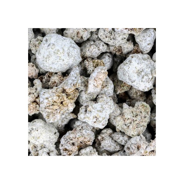 Deli Rock CBD Small Bud – Fleur CBD Pas Cher & Puissante