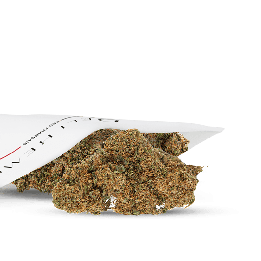 AK47 CBD – Fleur CBD Puissante & Arômes Intenses – Qualité Premium