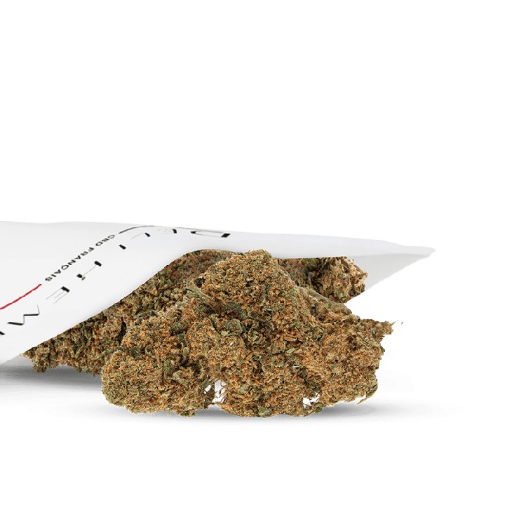 AK47 CBD – Fleur CBD Puissante & Arômes Intenses – Qualité Premium