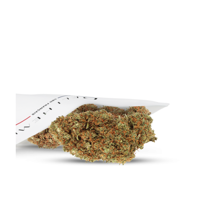 Lemon OG CBD Indoor – Fleur Premium Acidulée & Puissante