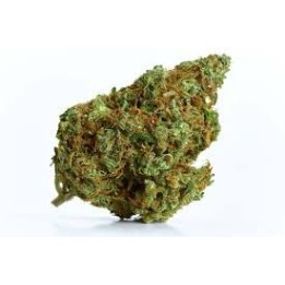 Tangie CBD – Fleur CBD Fruitée & Agrumes – Qualité Premium