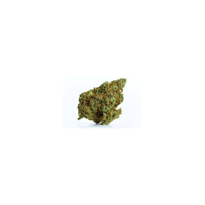 Tangie CBD – Fleur CBD Fruitée & Agrumes – Qualité Premium