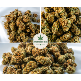 🌿 Fleurs CBD AK47 Outdoor – L’équilibre parfait entre détente & énergie