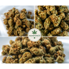 🌿 Fleurs CBD AK47 Outdoor – L’équilibre parfait entre détente & énergie