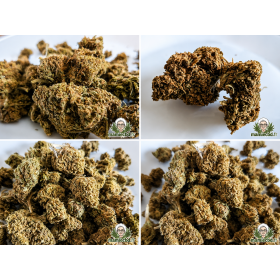 🌿 Fleurs CBD Tangie Outdoor