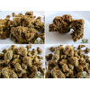 🌿 Fleurs CBD Tangie Outdoor