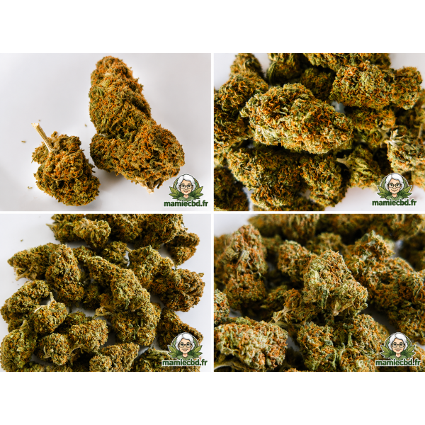 🍋 Fleurs CBD Lemon OG