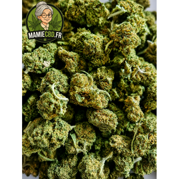 🍊 ORANGE BUD GREENHOUSE