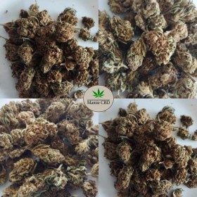 Fleurs CBD AK47 Outdoor – L’équilibre parfait entre détente & énergie