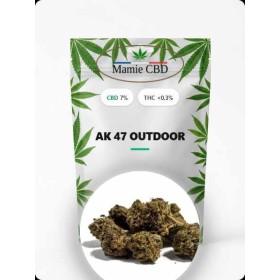 Fleurs CBD AK47 Outdoor – L’équilibre parfait entre détente & énergie