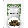 Fleurs CBD AK47 Outdoor – L’équilibre parfait entre détente & énergie