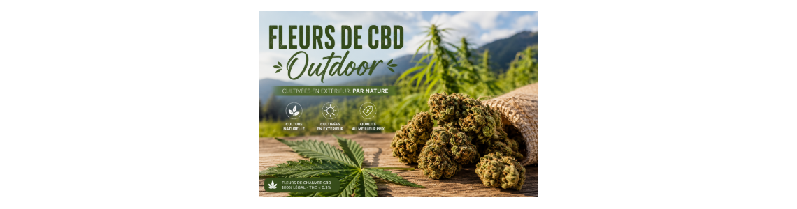 FLEURS OUTDOOR
