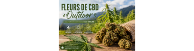 FLEURS OUTDOOR