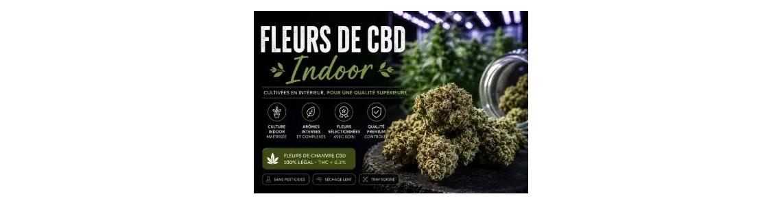 FLEURS INDOOR