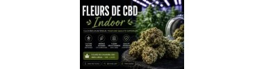 FLEURS INDOOR