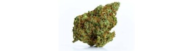 FLEURS CBD