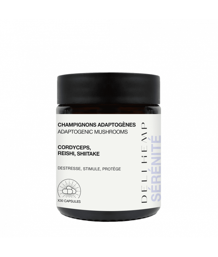 Champignons adaptogenes de Mamiecbd
