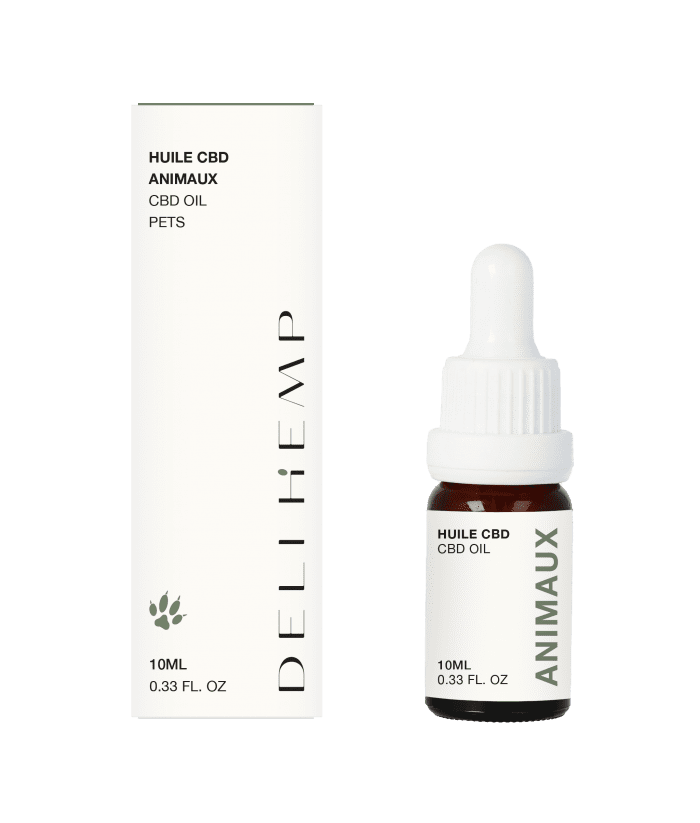 Chien stressé ou anxieux ? Mamie CBD vous explique comment l'huile de CBD peut l'aider !