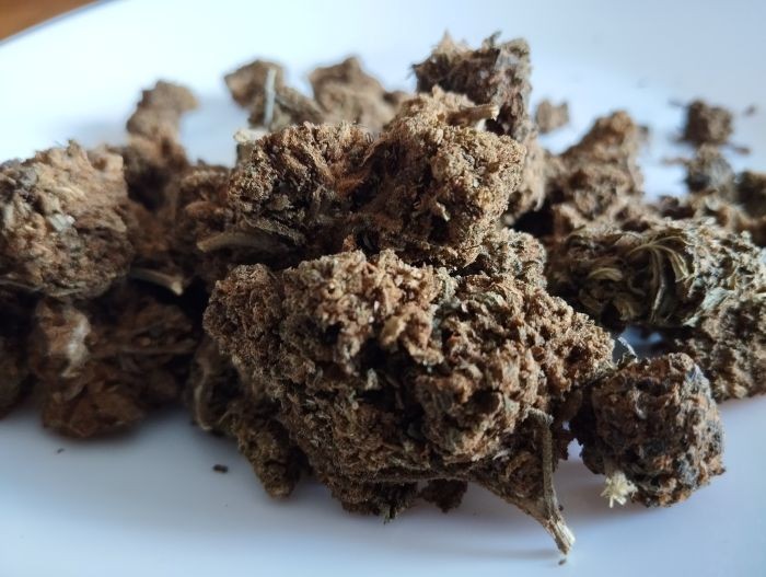 TANGIE LA PEPITE DE MAMIECBD.FR